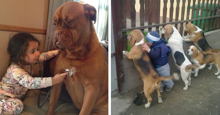 129 Heartwarming Photos Proving That Your Kids Need A Pet