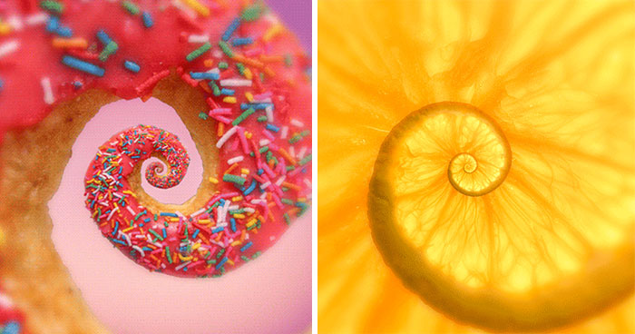 Hypnotizing GIFs Of Everyday Objects By Polish Artist