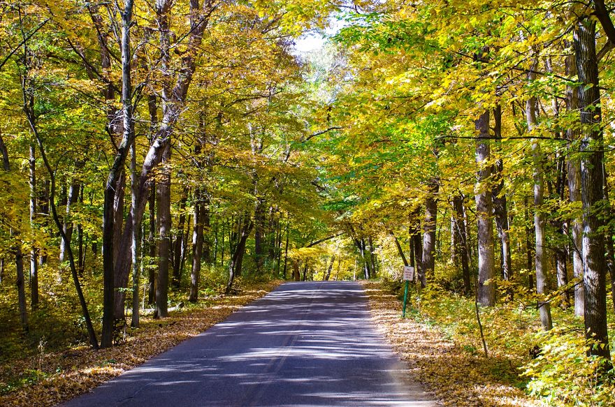 Wisconsin Fall Roads, Madison Wisconsin