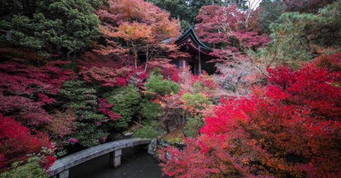 I Captured The Beautiful Fall In Kyoto