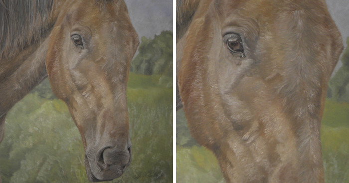 Boss’s Surprise Christmas Present Is Ready, All Done With Sponges