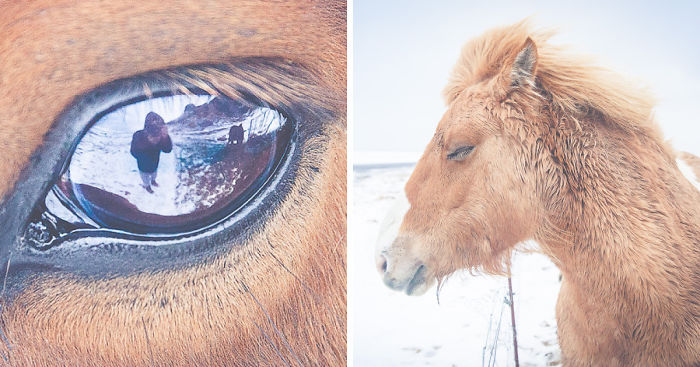 My Road Trip Around Iceland And Why You Should Go There