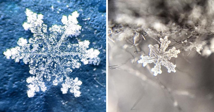 Magic Of Snow: I Try To Capture A Perfect Snowflake