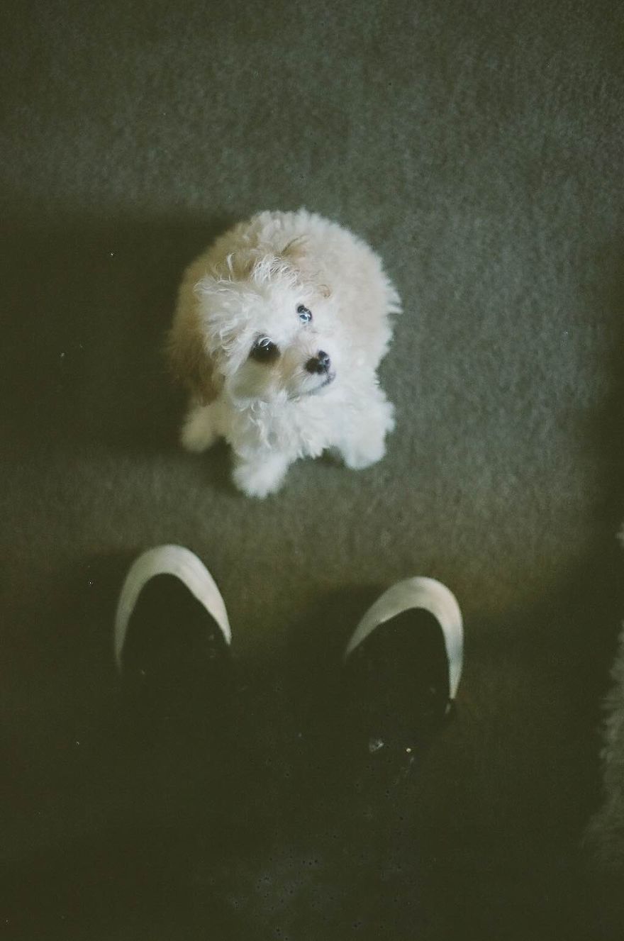 Film Is Not Dead. Film Is Not Dead.