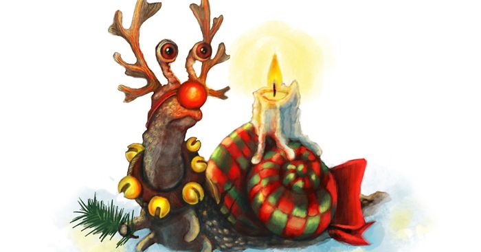 Snail Mail: I Illustrate Postcards With Snails To Pay Tribute To This Overlooked Little Creature