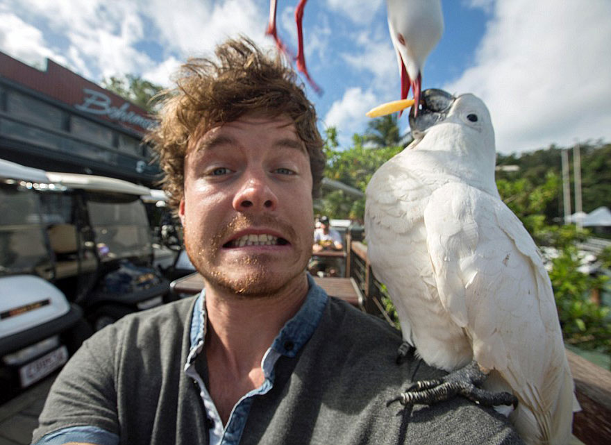 This Man Mastered The Art Of Animal Selfies This Man Mastered The Art Of Animal Selfies
