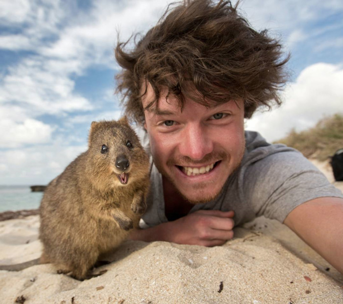 This Man Mastered The Art Of Animal Selfies