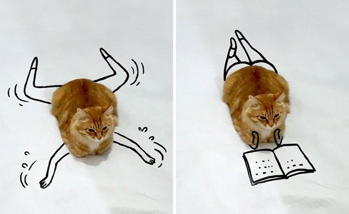 Challenge: Doodle This Cat Photo To Give Him New Adventures (261 Pics)