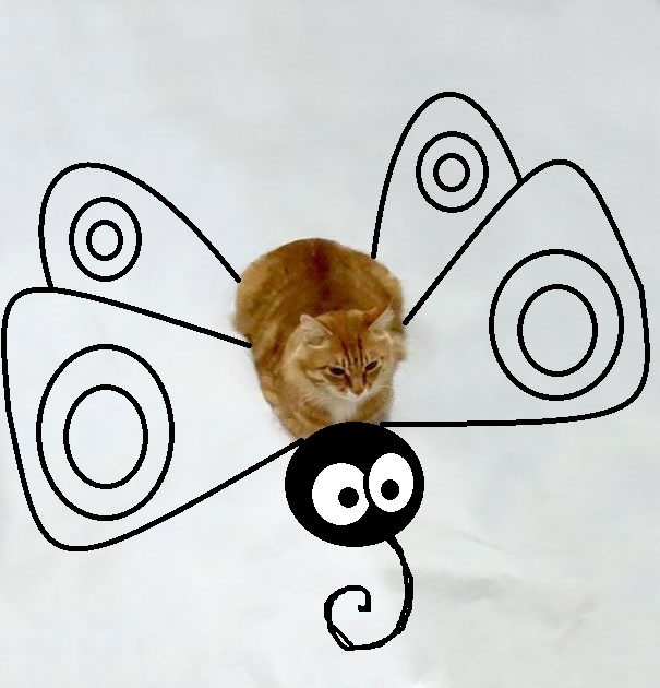 Flying On Butterfly :)