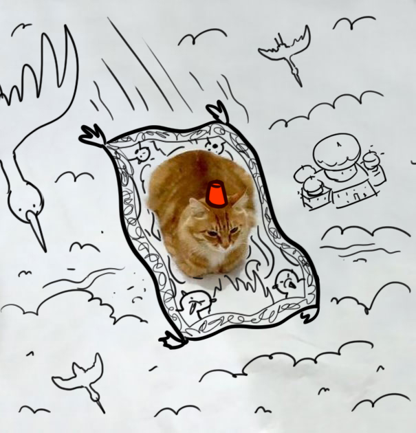 I Can Show You The World