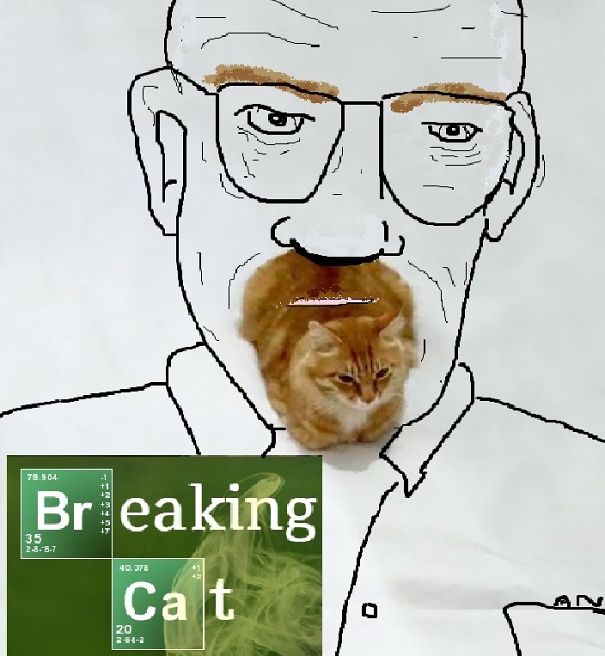 Breaking Cat