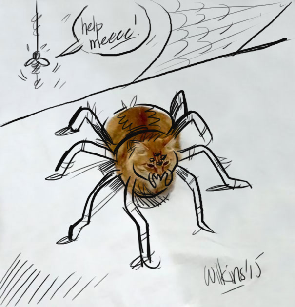 Arachno-kitty.