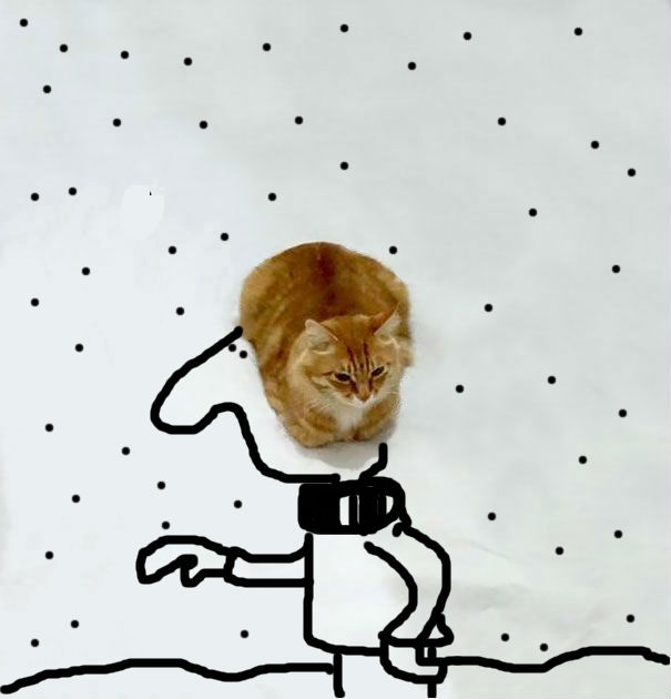 What The Weather Today?