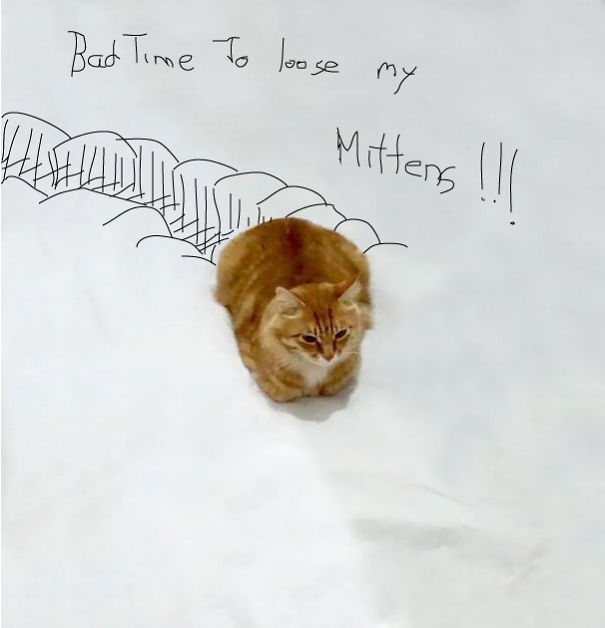 The Three Little Kittens, They Lost Their Mittens