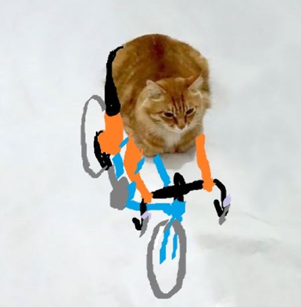 Cat 1 Climber