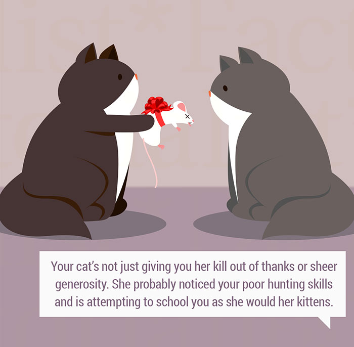 10 Quirky Human And Animal Gift-Giving Customs