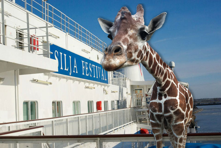 Giraffe Is On The Way To Sweden!