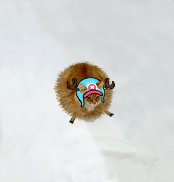 Guard Point! (chopper - One Piece)