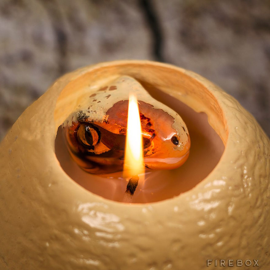 hatching-dinosaur-candle-raptor-firebox-3 hatching-dinosaur-candle-raptor-firebox-3