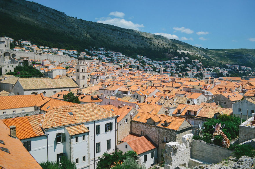 Giraffe Visits The Filming Location Of Game Of Thrones