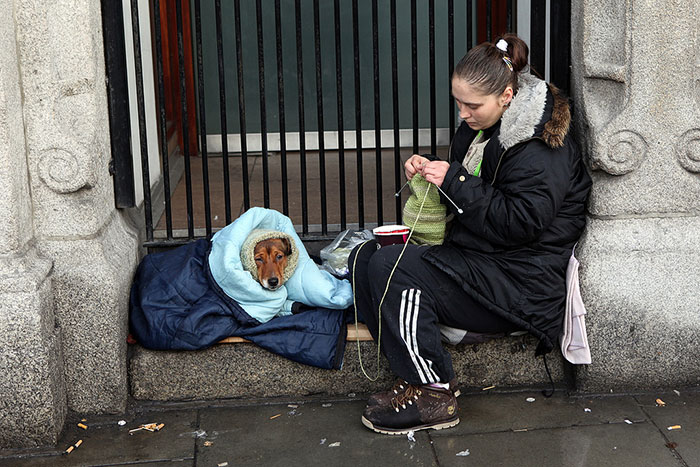 Homeless Woman With Her Dog In Dublin