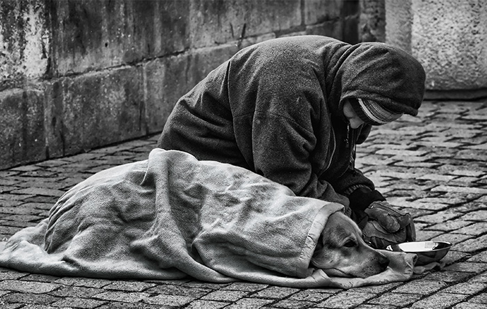 Homeless Man And His Dog