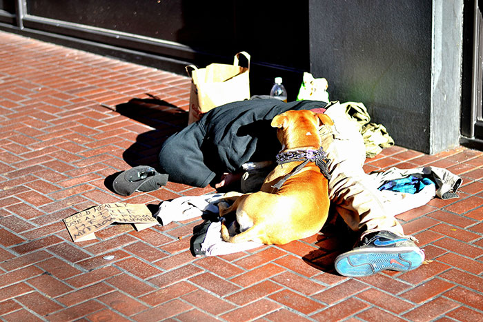 Homeless With His Dog