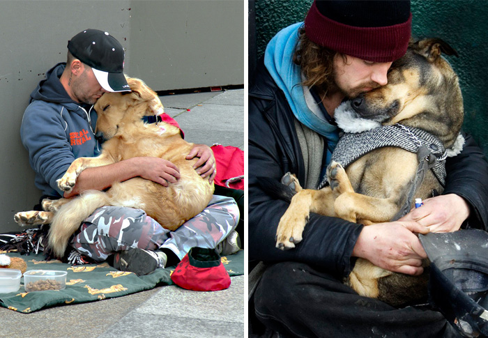 49 Photos That Prove Dogs Love You No Matter How Much Money You Don’t Have