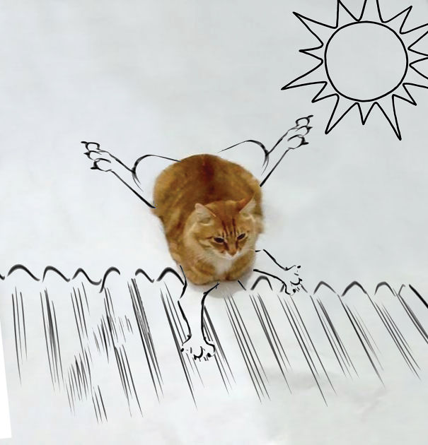 Cat On A Hot Tin Roof