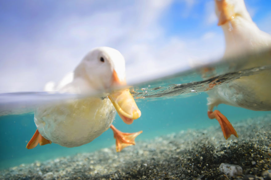 I Photograph The World From The Water
