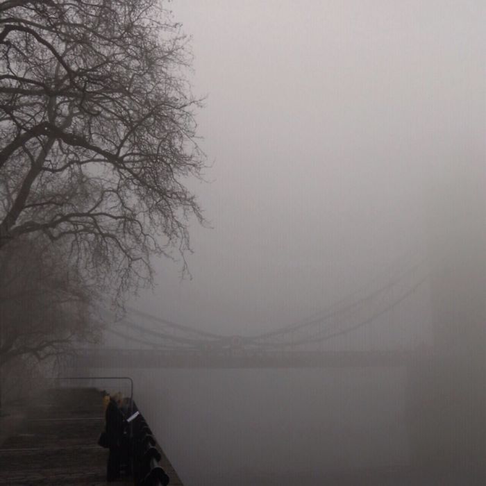 I Capture English Foggy Days