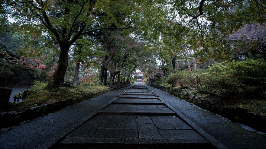 I Captured The Beautiful Fall In Kyoto