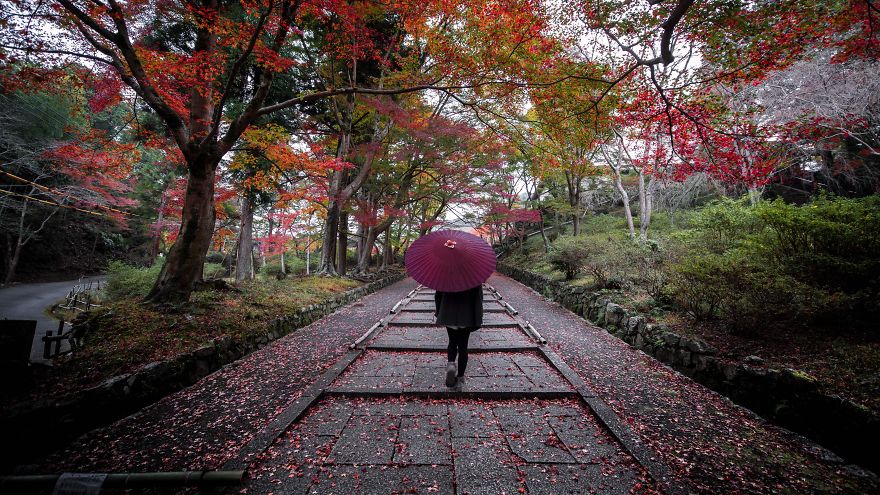 I Captured The Beautiful Fall In Kyoto