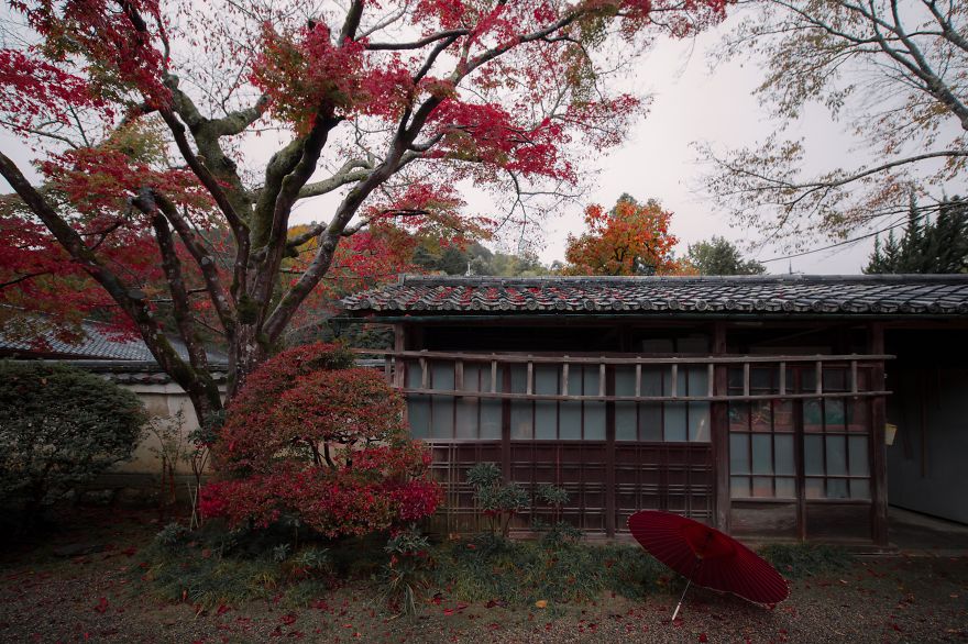 I Captured The Beautiful Fall In Kyoto