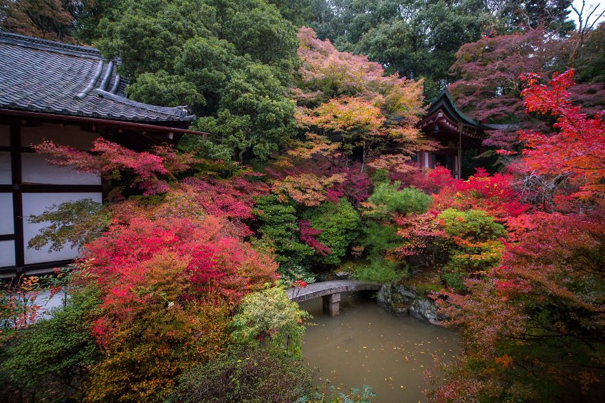I Captured The Beautiful Fall In Kyoto