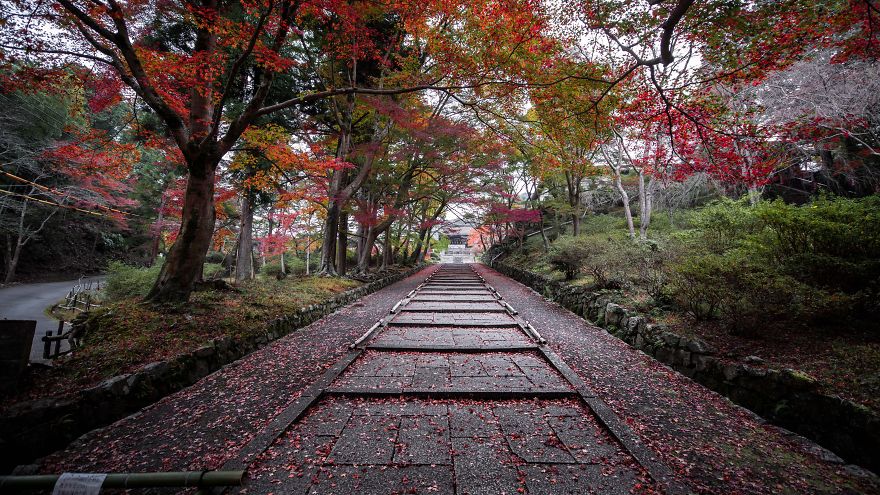 I Captured The Beautiful Fall In Kyoto