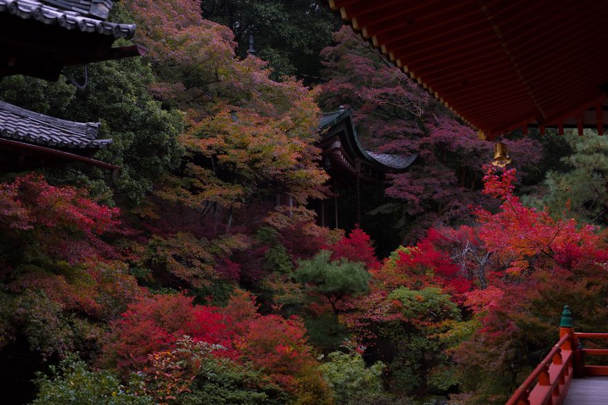 I Captured The Beautiful Fall In Kyoto