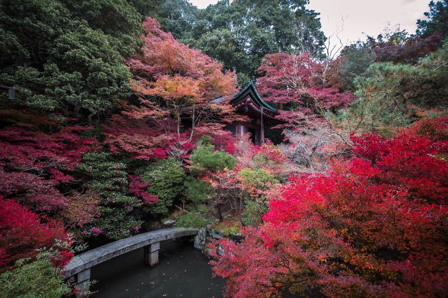 I Captured The Beautiful Fall In Kyoto