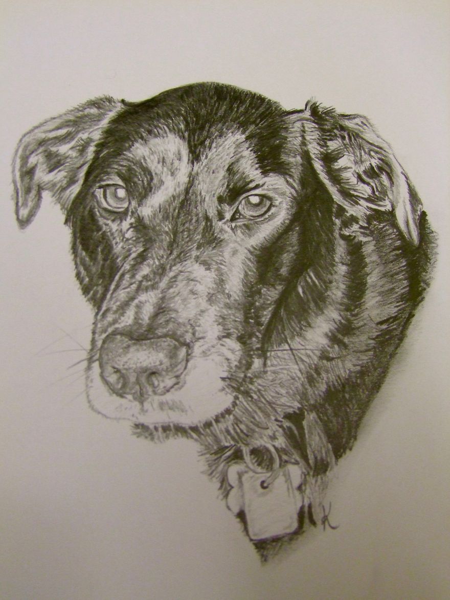 I Draw Realistic Pet Portraits