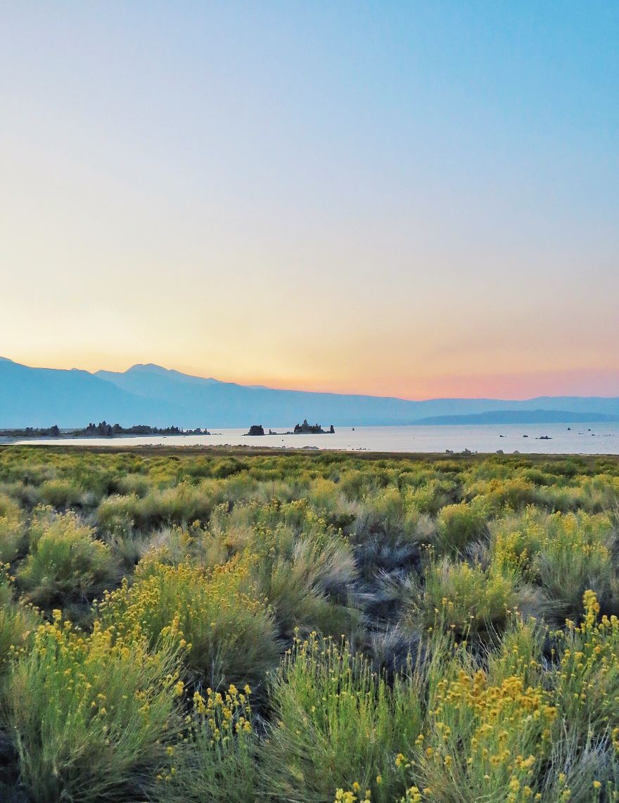 I Found The Surface Of Mars In Eastern California I Found The Surface Of Mars In Eastern California