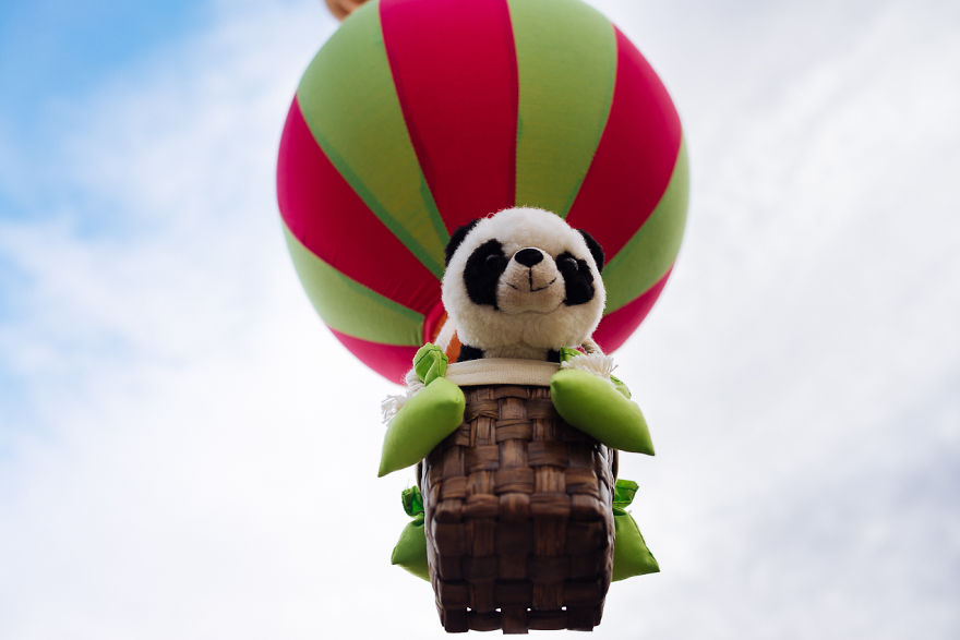 I Take My Pandas With Me On Photographic Adventures