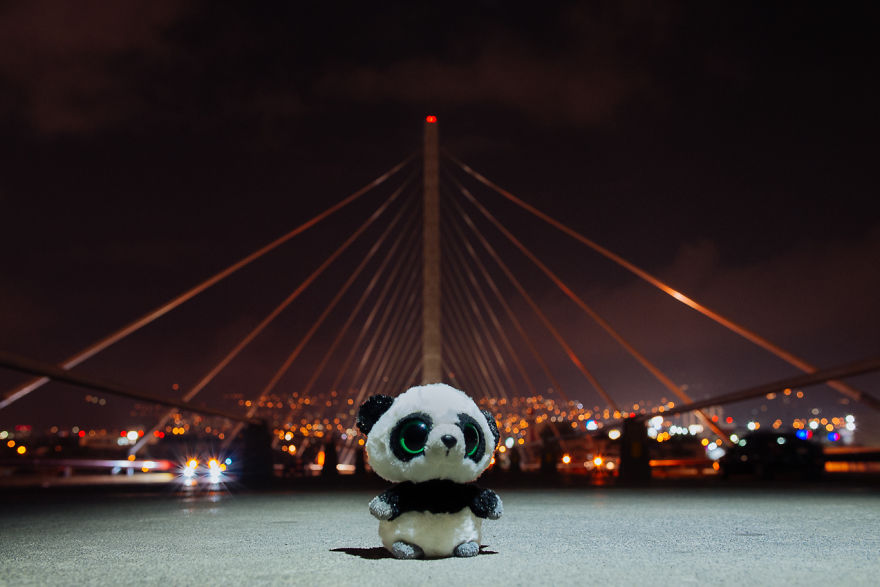 I Take My Pandas With Me On Photographic Adventures