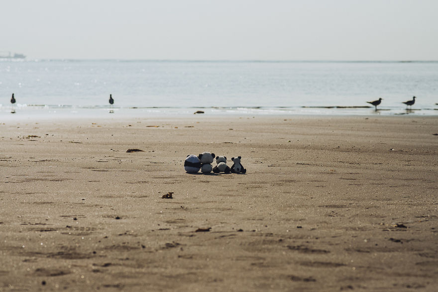 I Take My Pandas With Me On Photographic Adventures