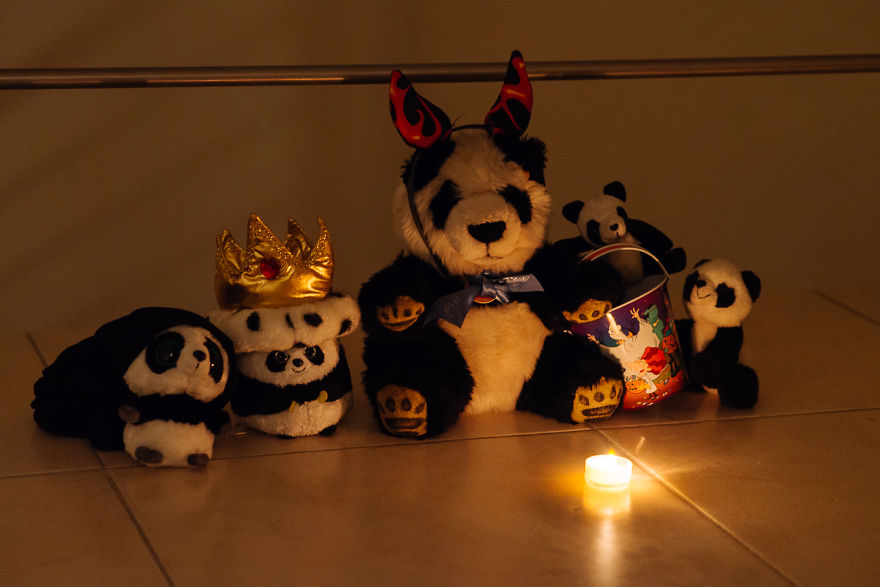 I Take My Pandas With Me On Photographic Adventures I Take My Pandas With Me On Photographic Adventures