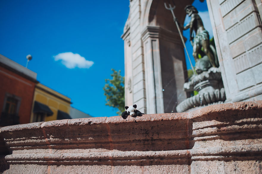 I Take My Pandas With Me On Photographic Adventures