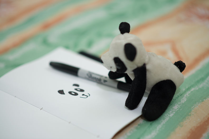 I Take My Pandas With Me On Photographic Adventures I Take My Pandas With Me On Photographic Adventures