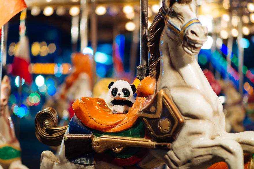 I Take My Pandas With Me On Photographic Adventures