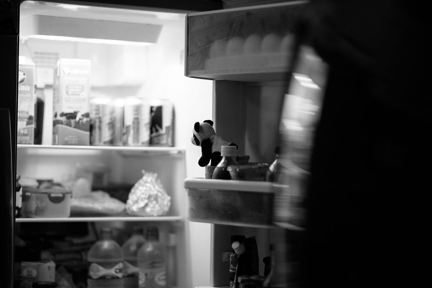 I Take My Pandas With Me On Photographic Adventures I Take My Pandas With Me On Photographic Adventures