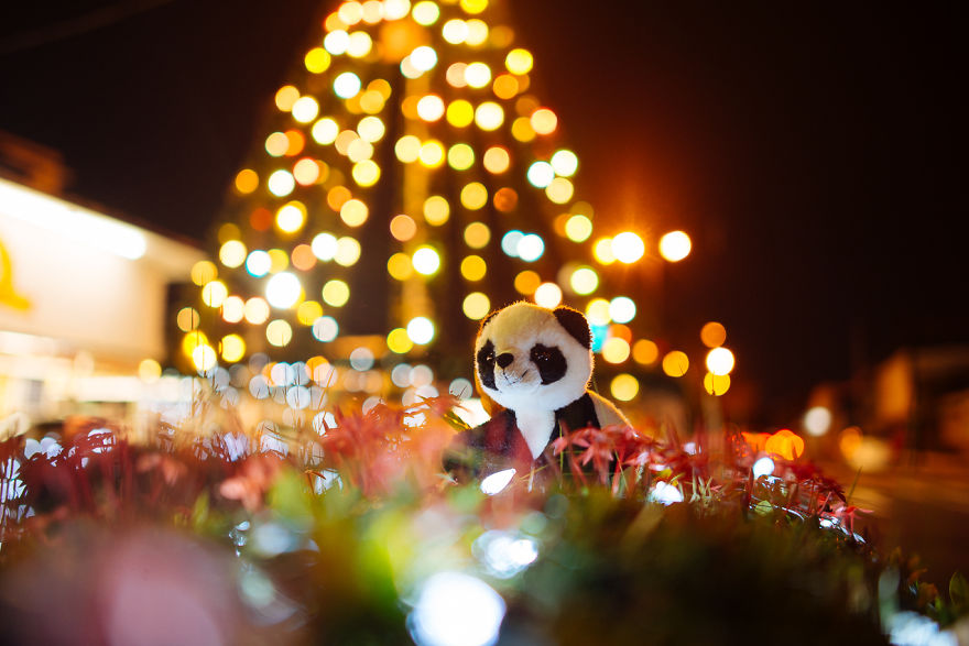 I Take My Pandas With Me On Photographic Adventures