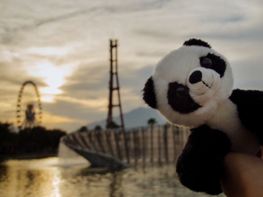 I Take My Pandas With Me On Photographic Adventures I Take My Pandas With Me On Photographic Adventures
